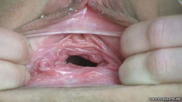 Đẹp con liếm nhau, đồng tính, mặt đối mặt phim sex nhat bạn trong khi cha đánh cá.